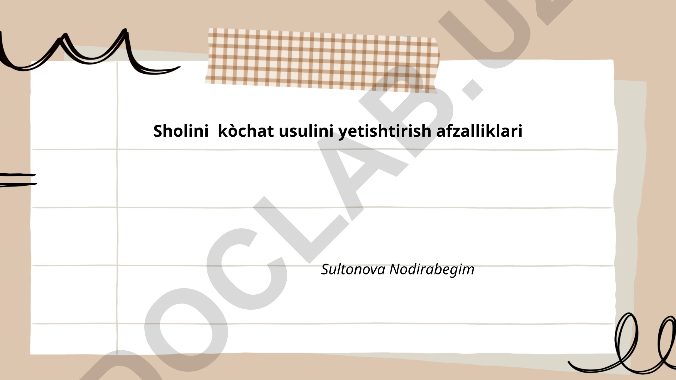 Sholini ko‘chat usulini yetishtirish afzalliklari