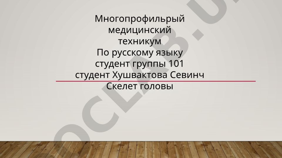 Скелет головы и череп: строение и развитие