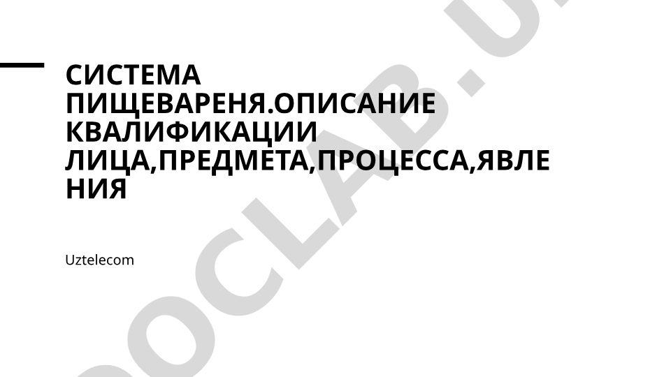 Система пищеварения человека: строение, функции и процессы