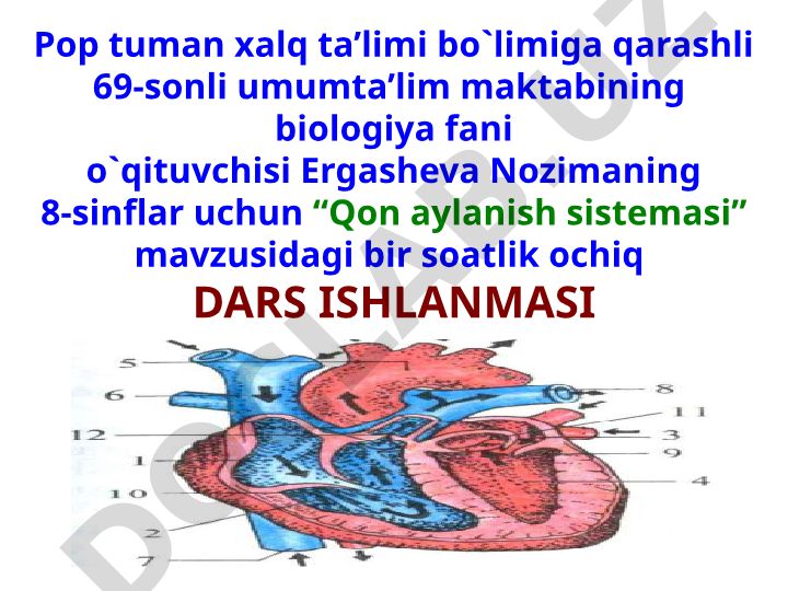 Qon aylanish sistemasi haqida umumiy tushuncha