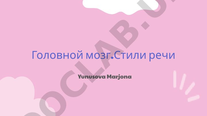 Головной мозг и стили речи