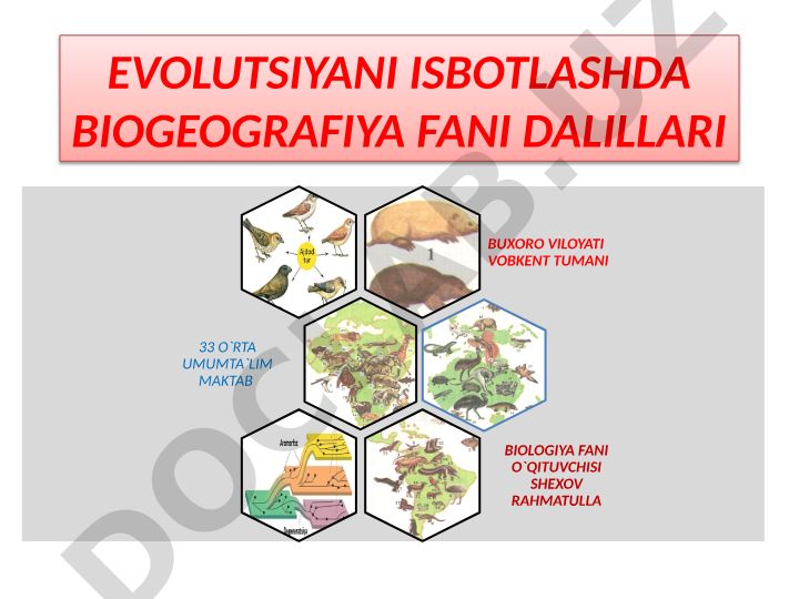 Biogeografiya fanining evolyutsiyani isbotlashdagi dalillari