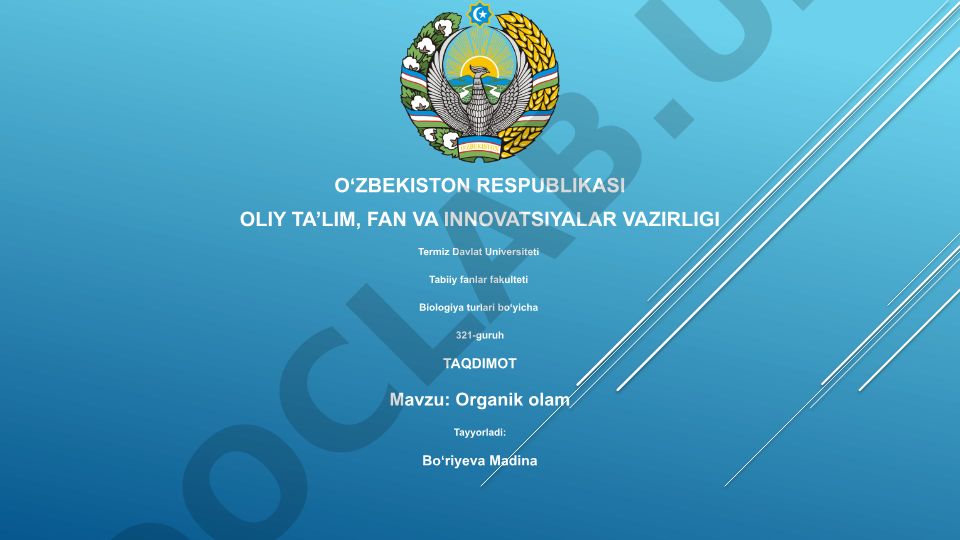 Organik olam