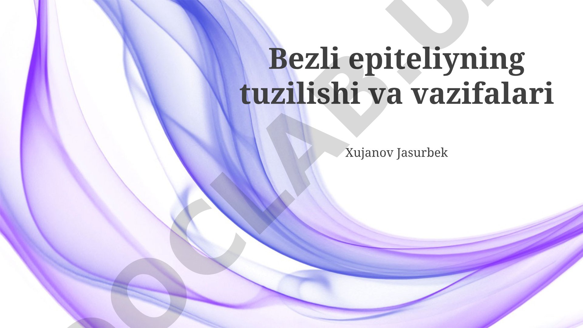 Bezli epiteliyning tuzilishi va vazifalari