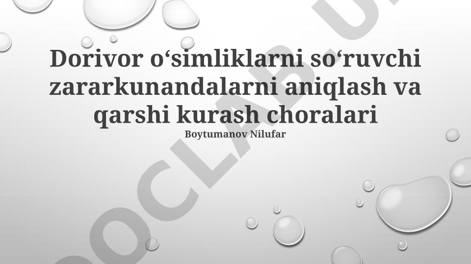 Dorivor o'simliklarni so'ruvchi zararkunandalarni aniqlash va qarshi kurash choralari