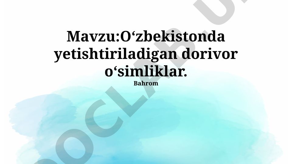 O‘zbekistonda yetishtiriladigan dorivor o‘simliklar