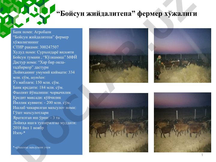 Бойсун жийдалитепа фермер хўжалиги ва Газа шункорлари МЧЖ лойиҳалари