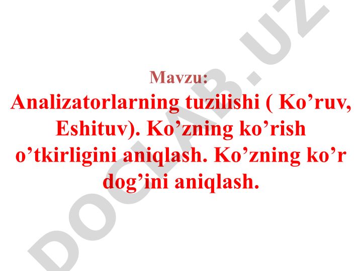 Analizatorlarning tuzilishi (Ko'ruv, Eshituv)