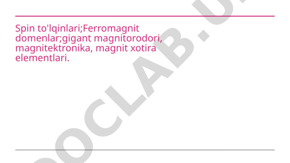 Spin to'lqinlari va ferromagnit domenlar