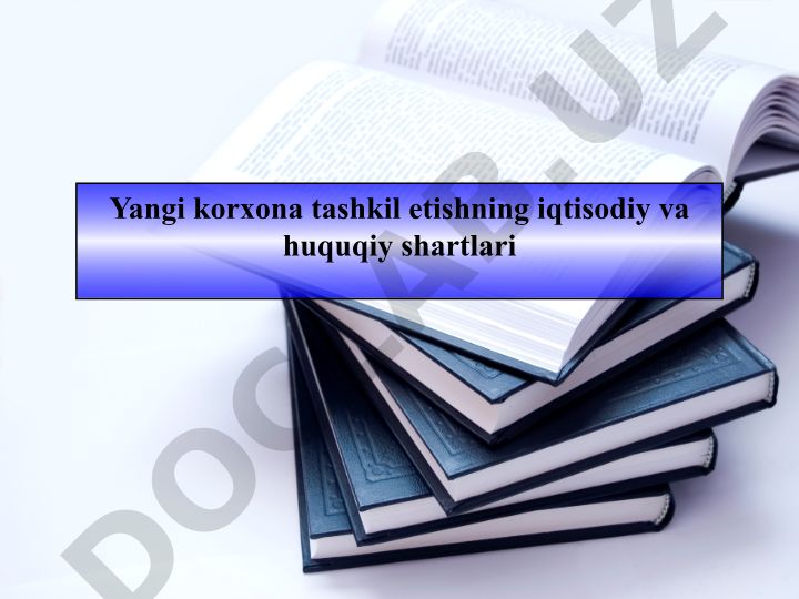 Yangi korxona tashkil etishning iqtisodiy va huquqiy shartlari