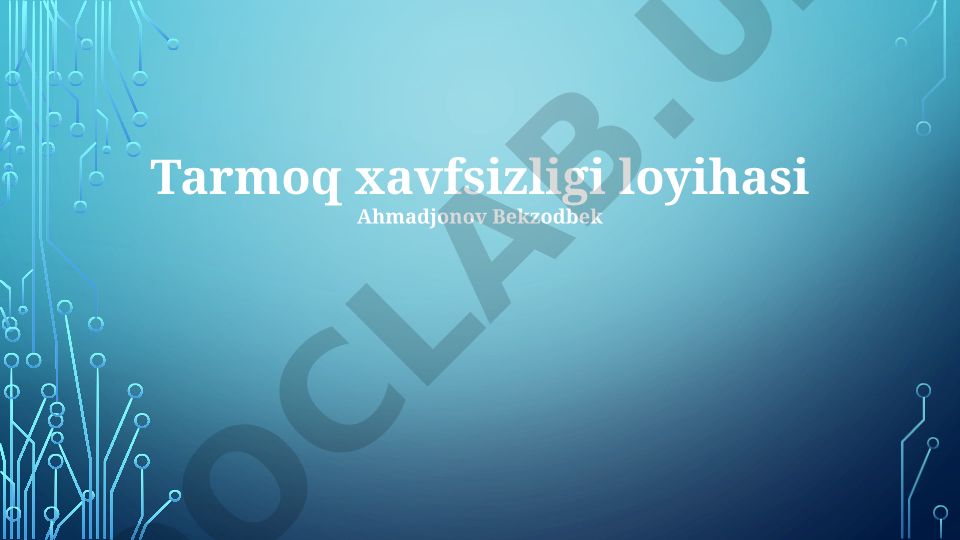 Tarmoq xavfsizligi loyihasi