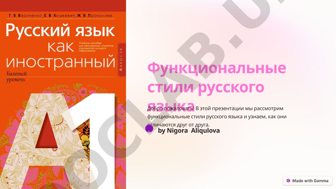 Функциональные стили русского языка