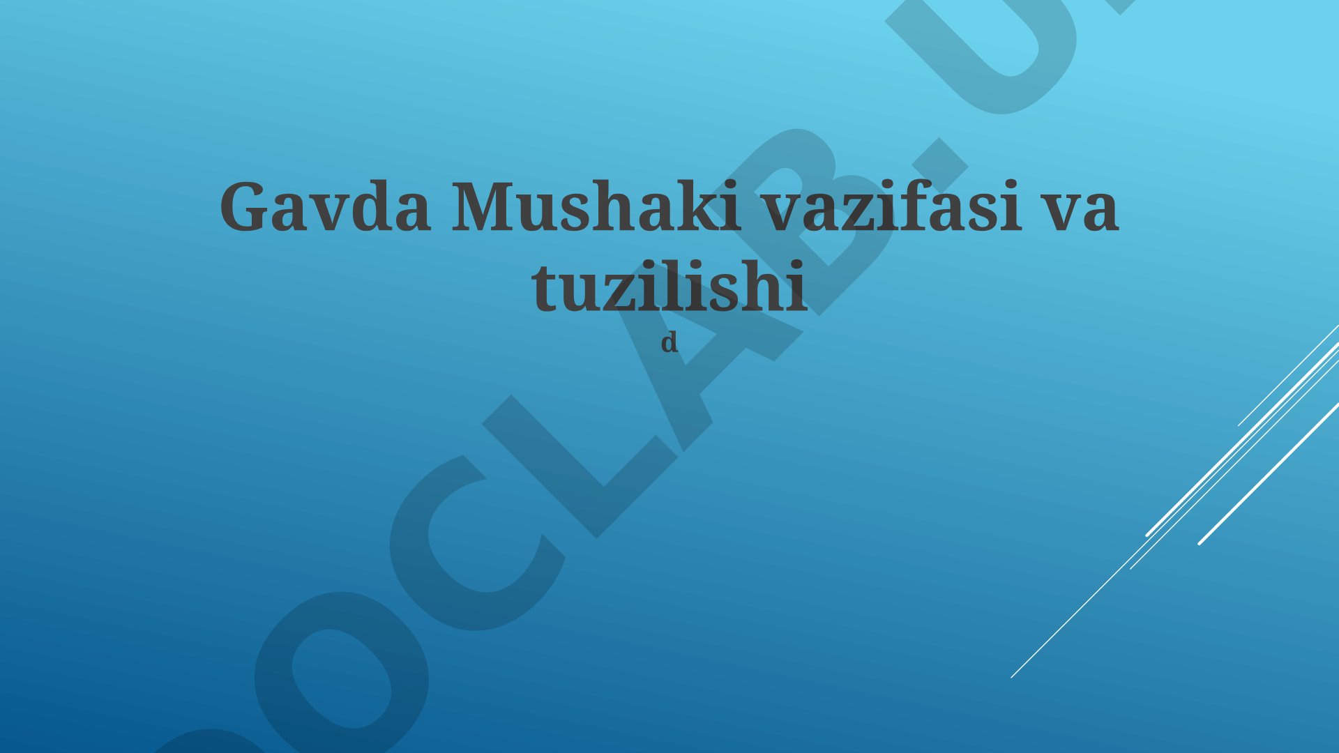Gavda Mushaki vazifasi va tuzilishi