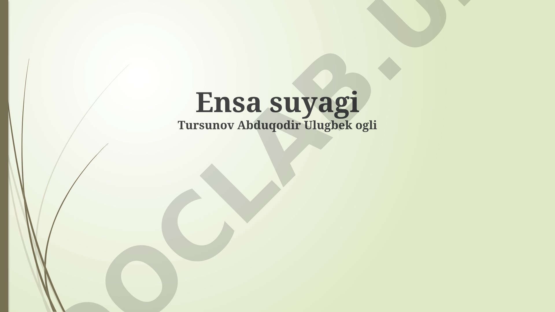 Shoʻr suvning kelib chiqishi, tarkibi va xossalari