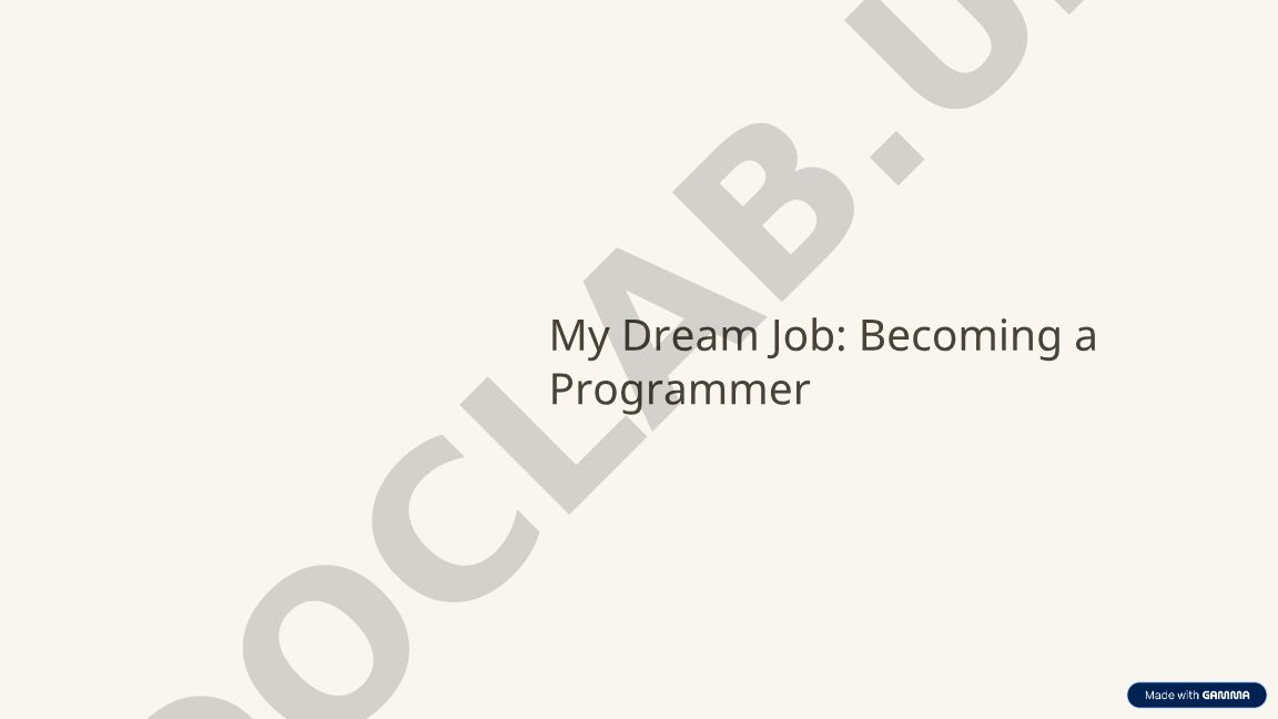 My Dream Job: Becoming a Programmer