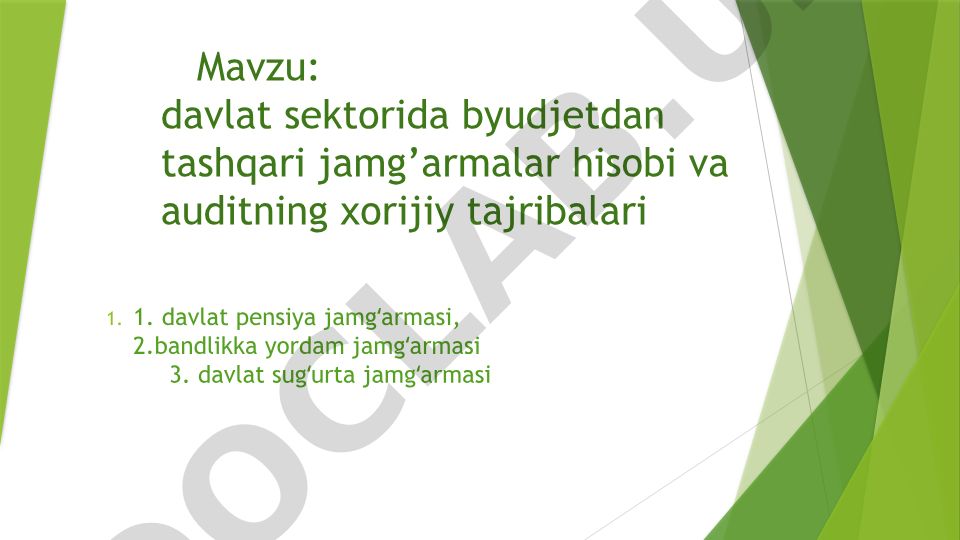 Davlat sektorida byudjetdan tashqari jamg'armalar hisobi va auditning xorijiy tajribalari