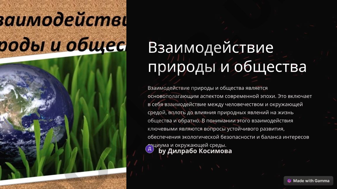 Взаимодействие природы и общества