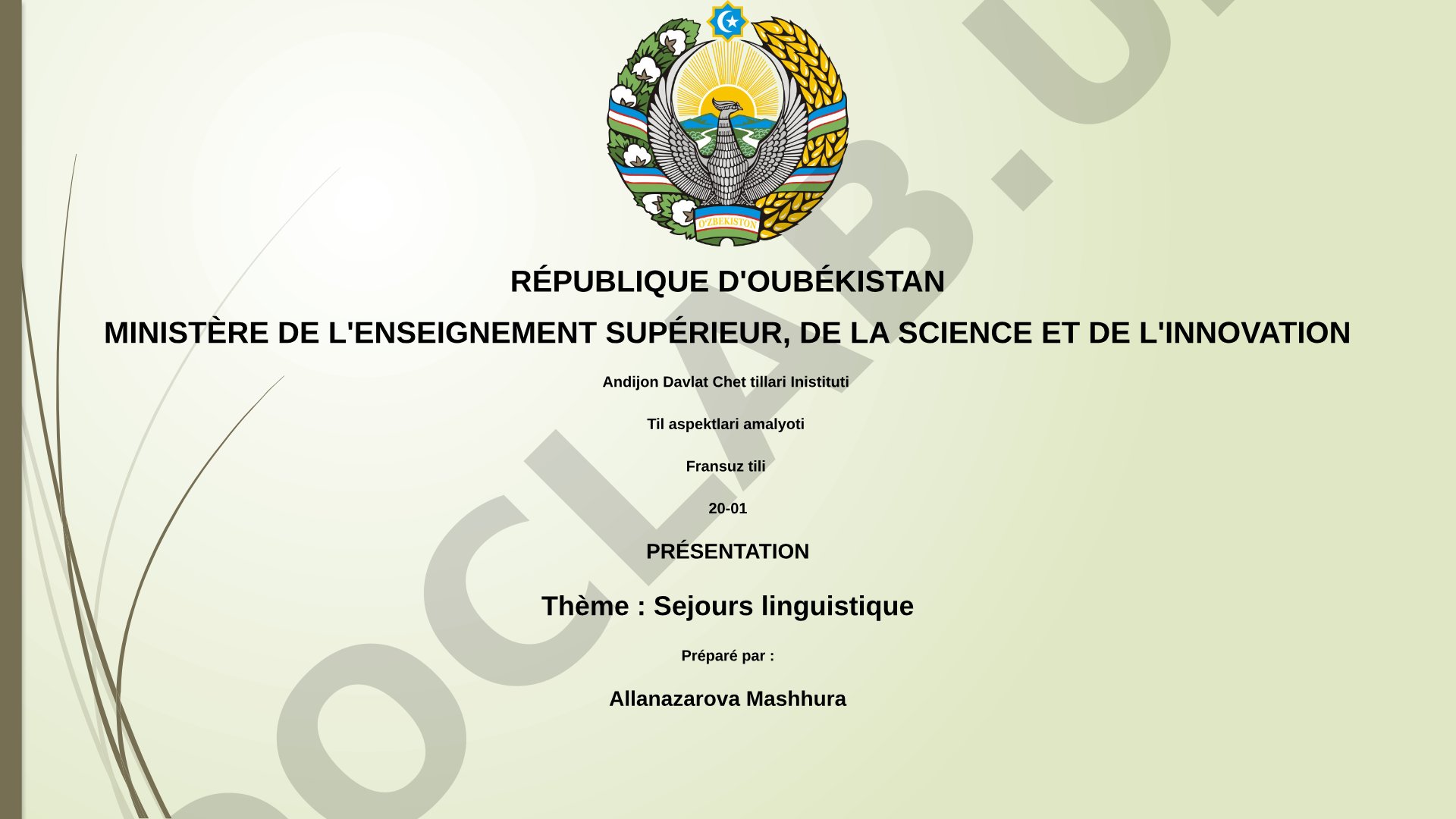 Séjours linguistique
