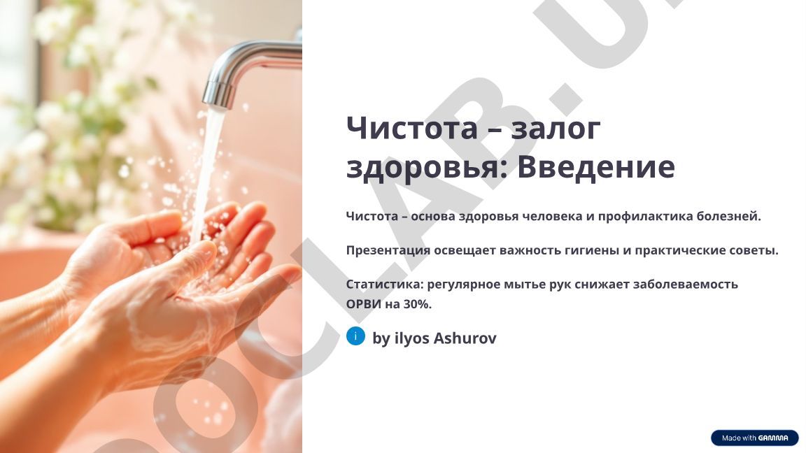 Чистота – залог здоровья: важность гигиены и профилактика болезней