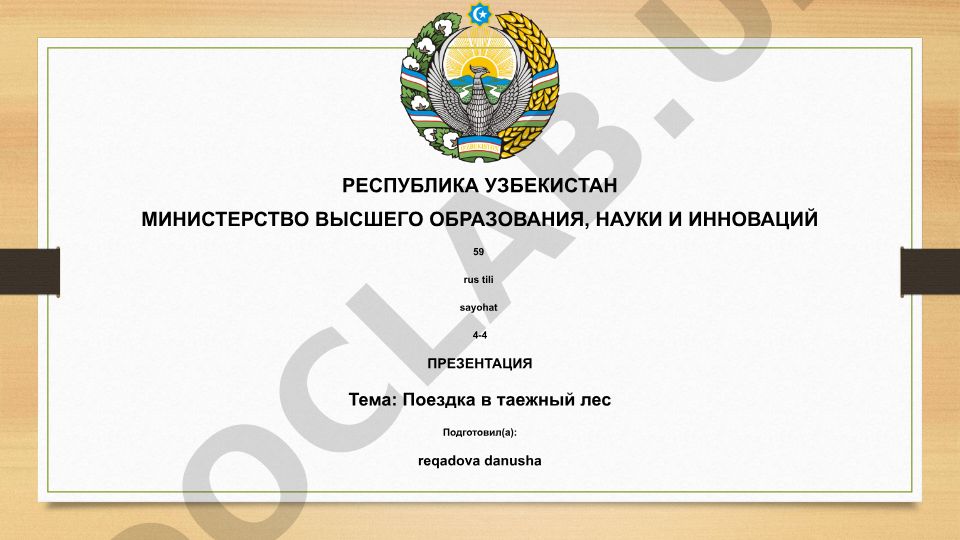 Поездка в таежный лес