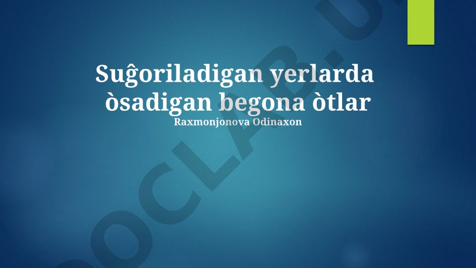 Sug'oriladigan yerlarda o'sadigan begona o'tlar