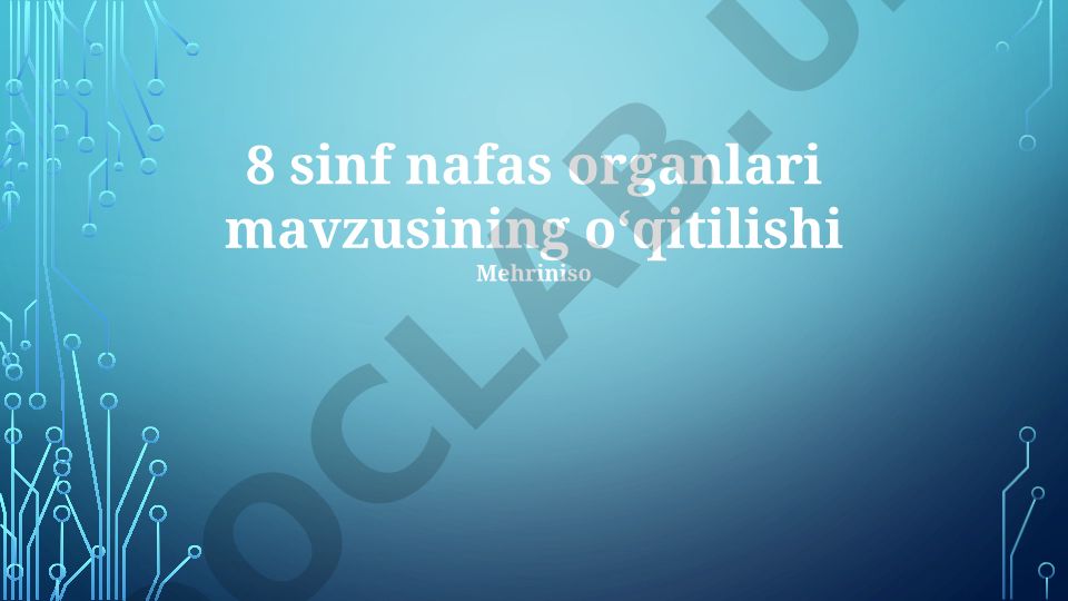 Nafas olish tizimi: tuzilishi, vazifasi va kasalliklari