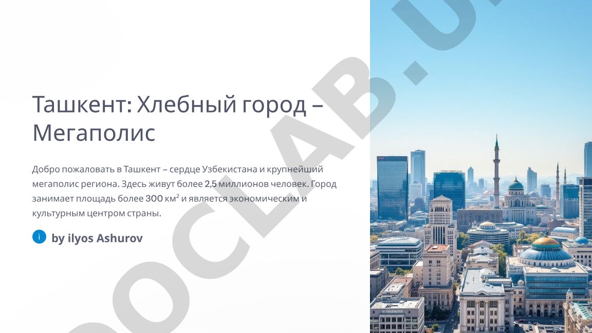 Ташкент: история и современное экономическое развитие
