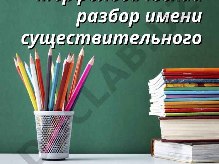 Морфологический разбор имени существительного