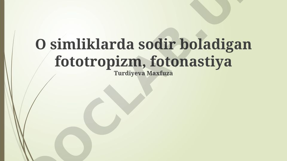 Fototropizm va fotonastiya: mexanizmlar, gormonlar va ekologik ahamiyati