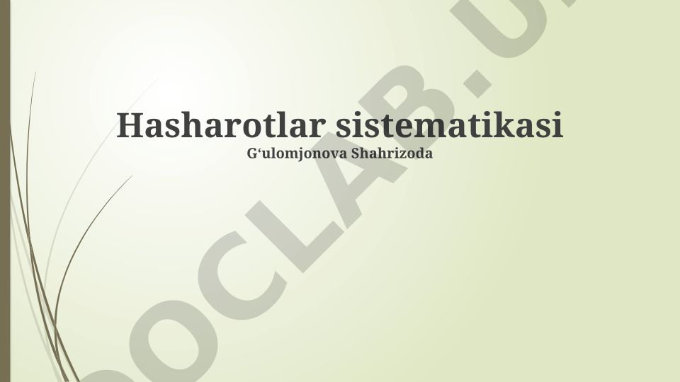 Hasharotlar sistematikasi
