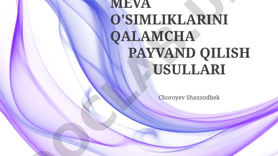 Meva o'simliklarini qalamcha payvandlash usullari