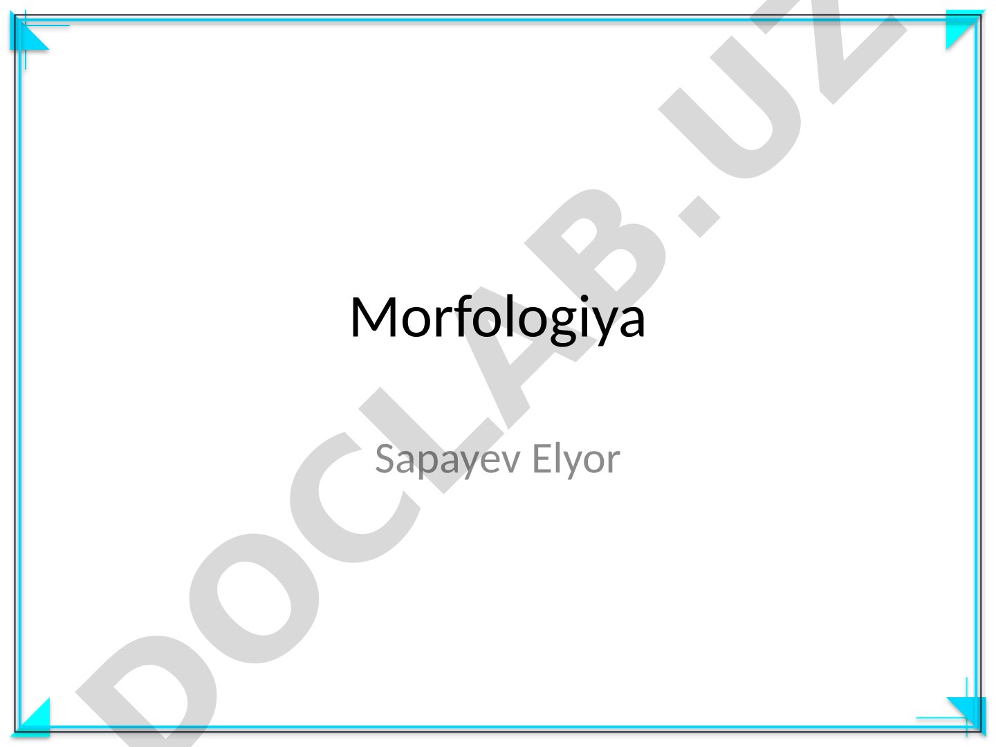 Morfologiya krossvordi