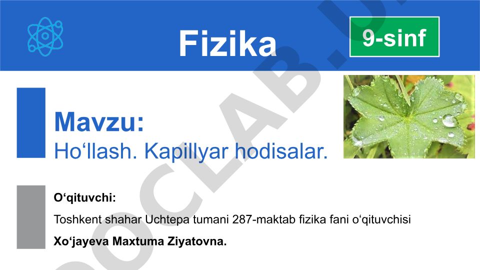 Ho‘llash va kapillyar hodisalar