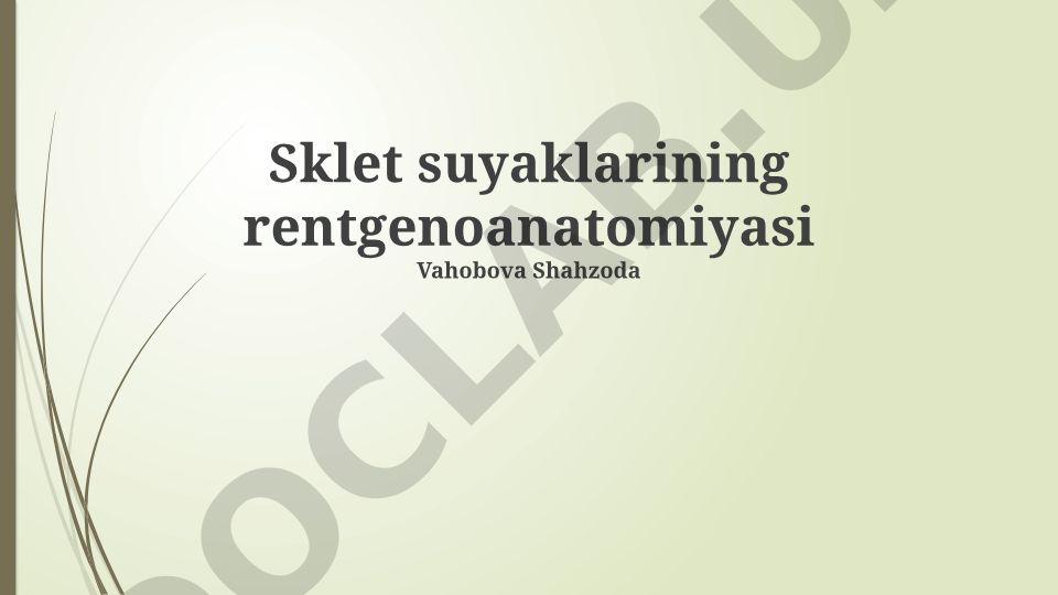 Sklet suyaklarining rentgenoanatomiyasi