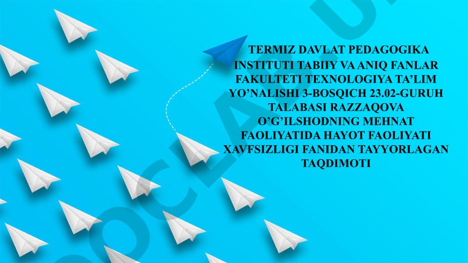 Mehnat faoliyatida hayot faoliyati xavfsizligi asoslari