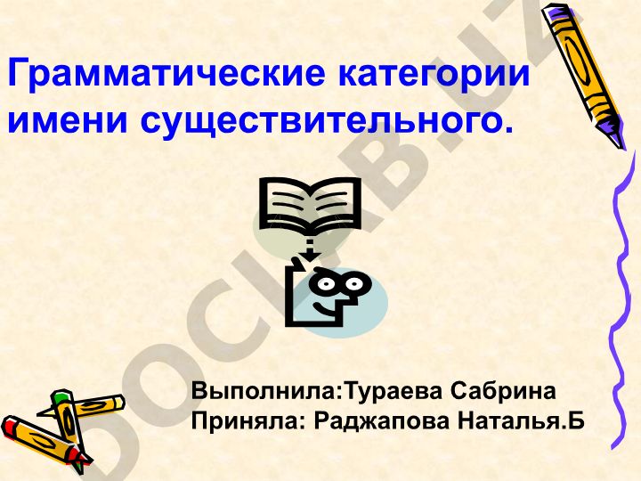 Грамматические категории имени существительного
