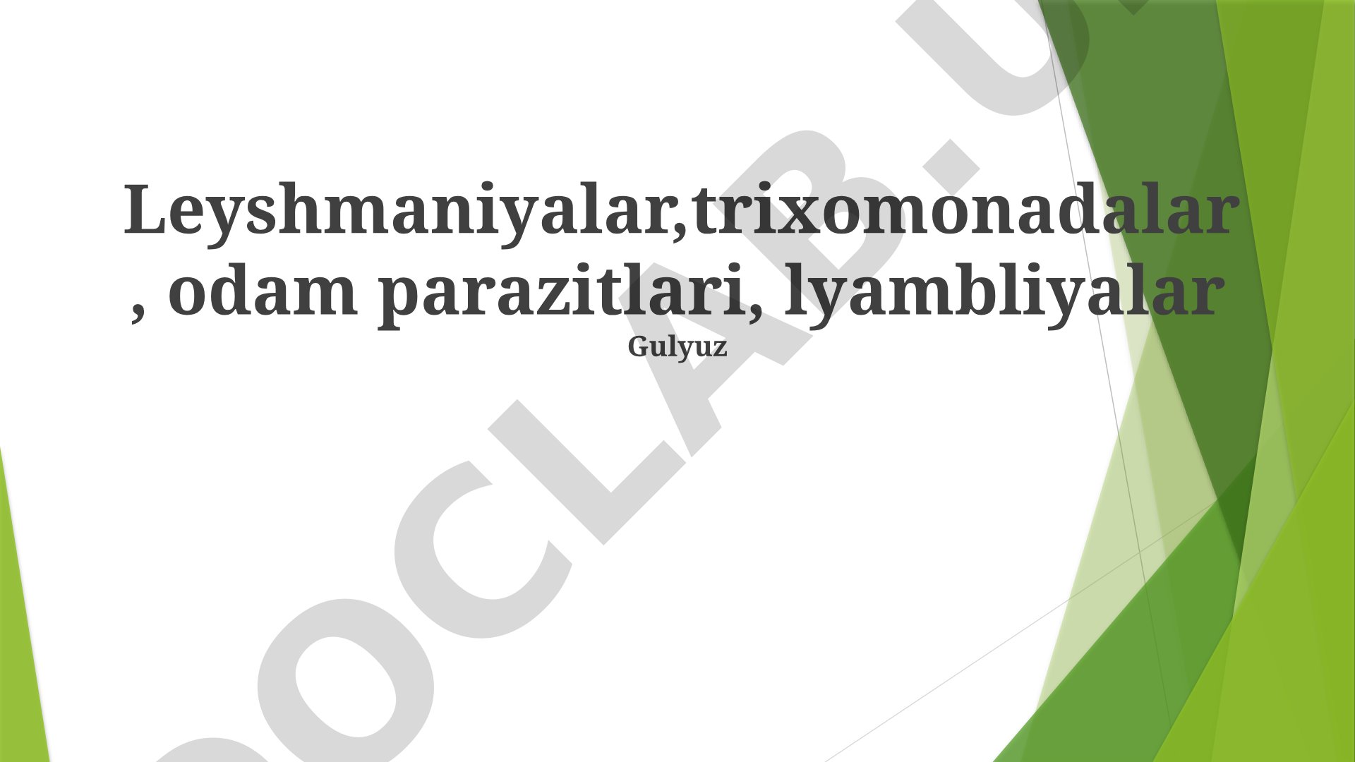 Odam parazitlari: leyshmaniyalar, trixomonadalar va lyambliyalar