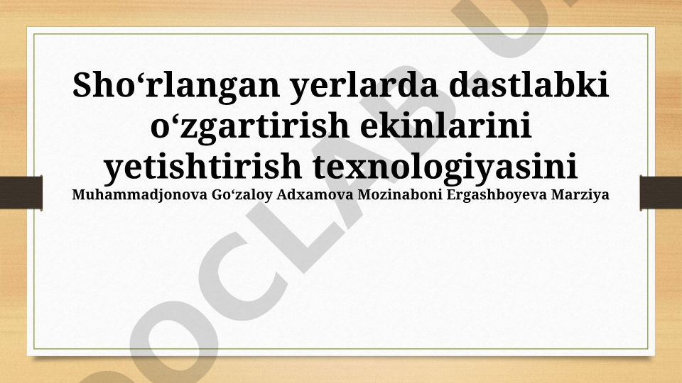 Shoʻrlangan yerlarda dastlabki rekultivatsiya ekinlarini yetishtirish texnologiyasi