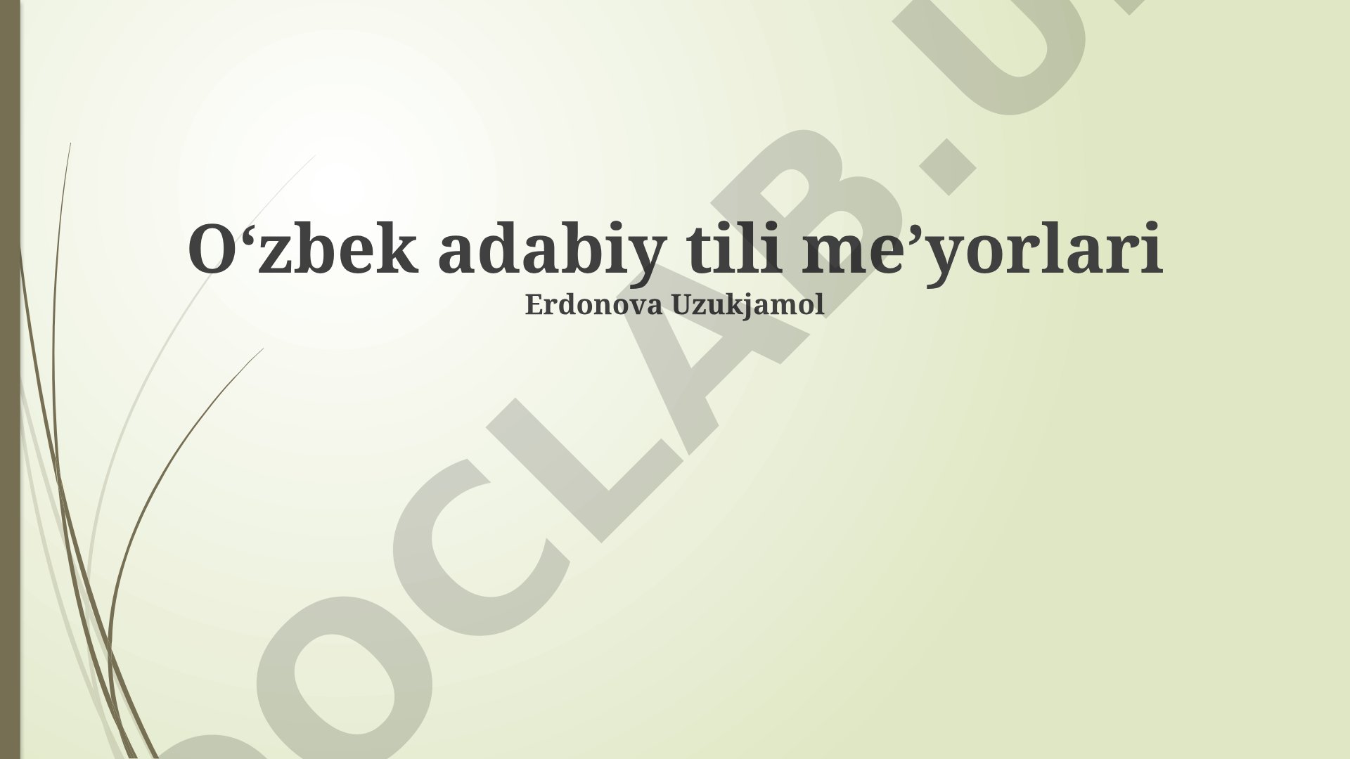Oʻzbek adabiy tili meʼyorlari
