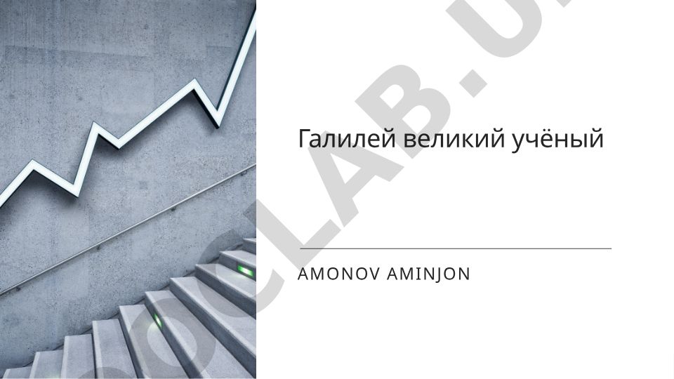 Галилео Галилей: биография и научное наследие