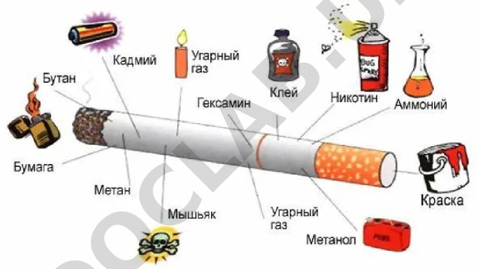 Sun'iy intellekt va mashina o'rganish