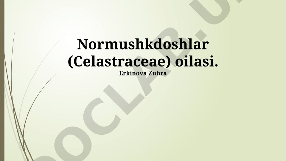 Normushkdoshlar (Celastraceae) oilasining morfologiyasi, sistematikasi va ekologiyasi