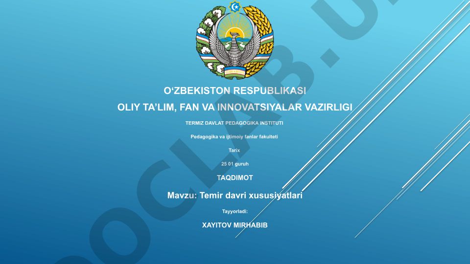 Temir davri xususiyatlari