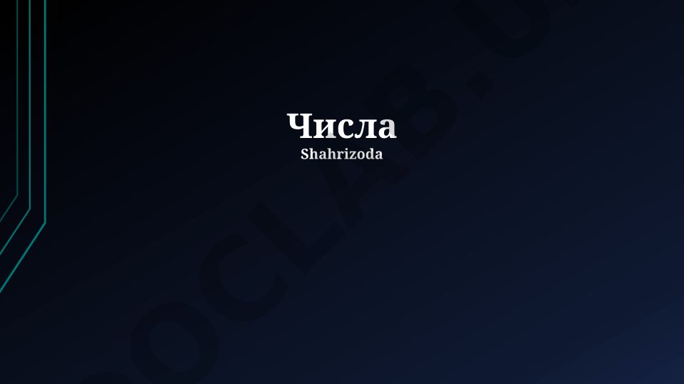 Числа в природе и повседневной жизни