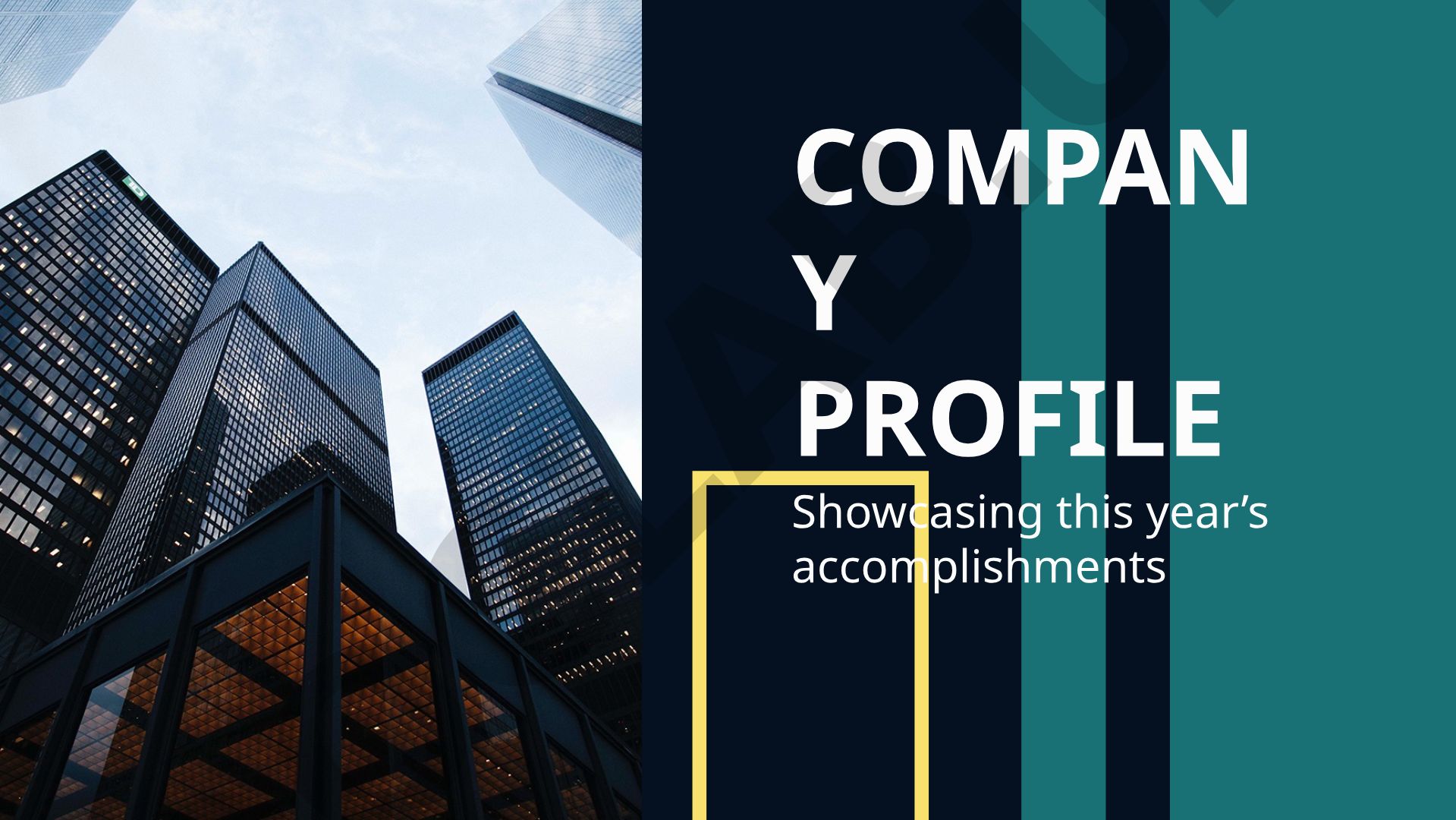 Company Profile and Annual Accomplishments