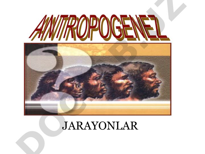 Antropogenez jarayoni va uning asosiy bosqichlari