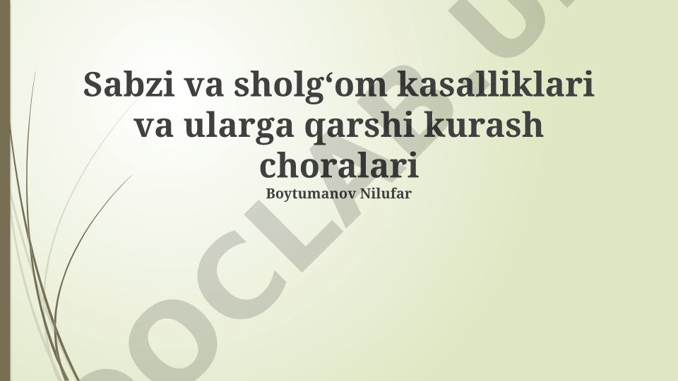 Sabzi va sholgʻom kasalliklari va ularga qarshi kurash choralari