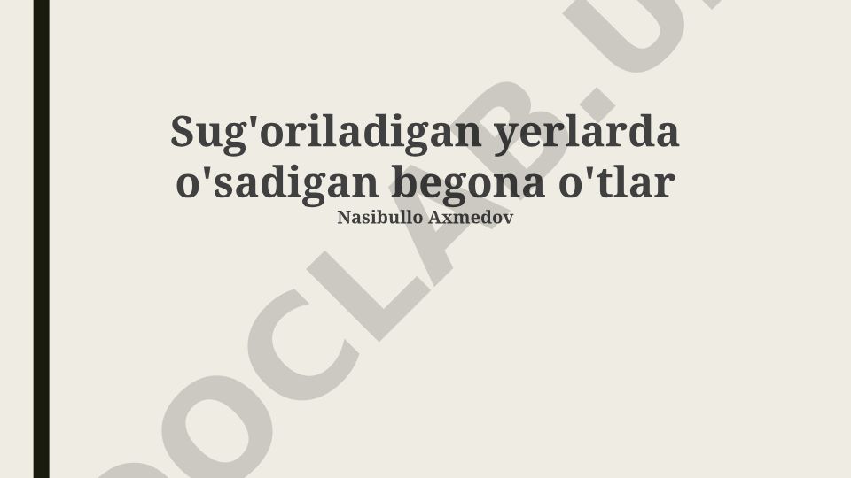 Sug'oriladigan yerlarda o'sadigan begona o'tlar