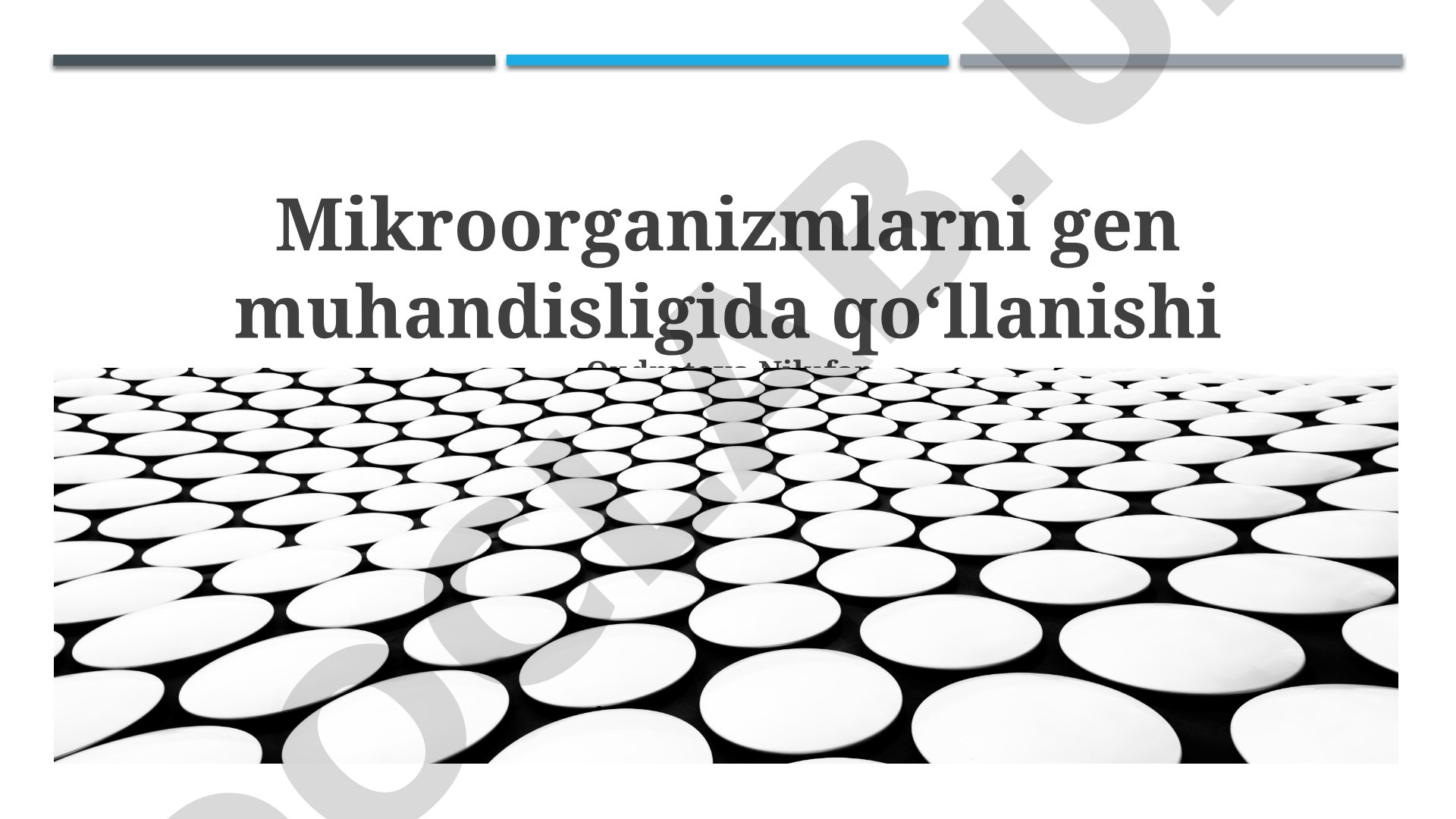Mikroorganizmlarni gen muhandisligida qoʻllanishi