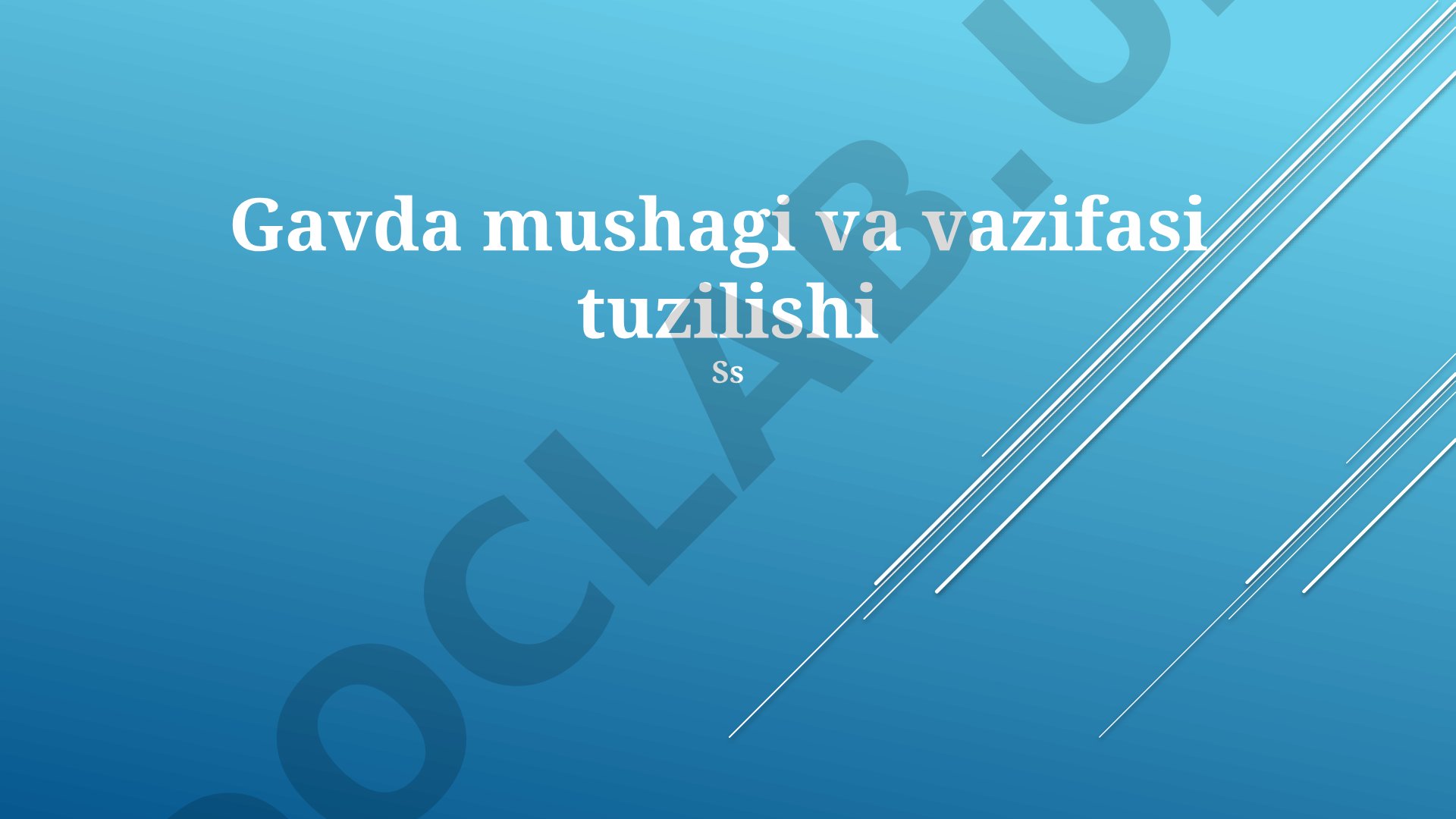 Gavda mushagi va vazifasi tuzilishi